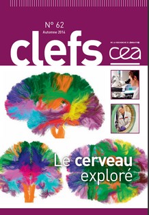 Couverture Clefs cea - Le cerveau exploré